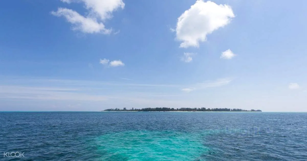 Mengalum Island Snorkel & Sea Adventure from Kota Kinabalu