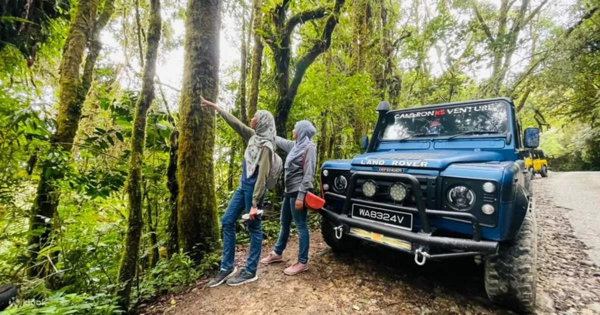 Cameron Highlands Full Day Tour