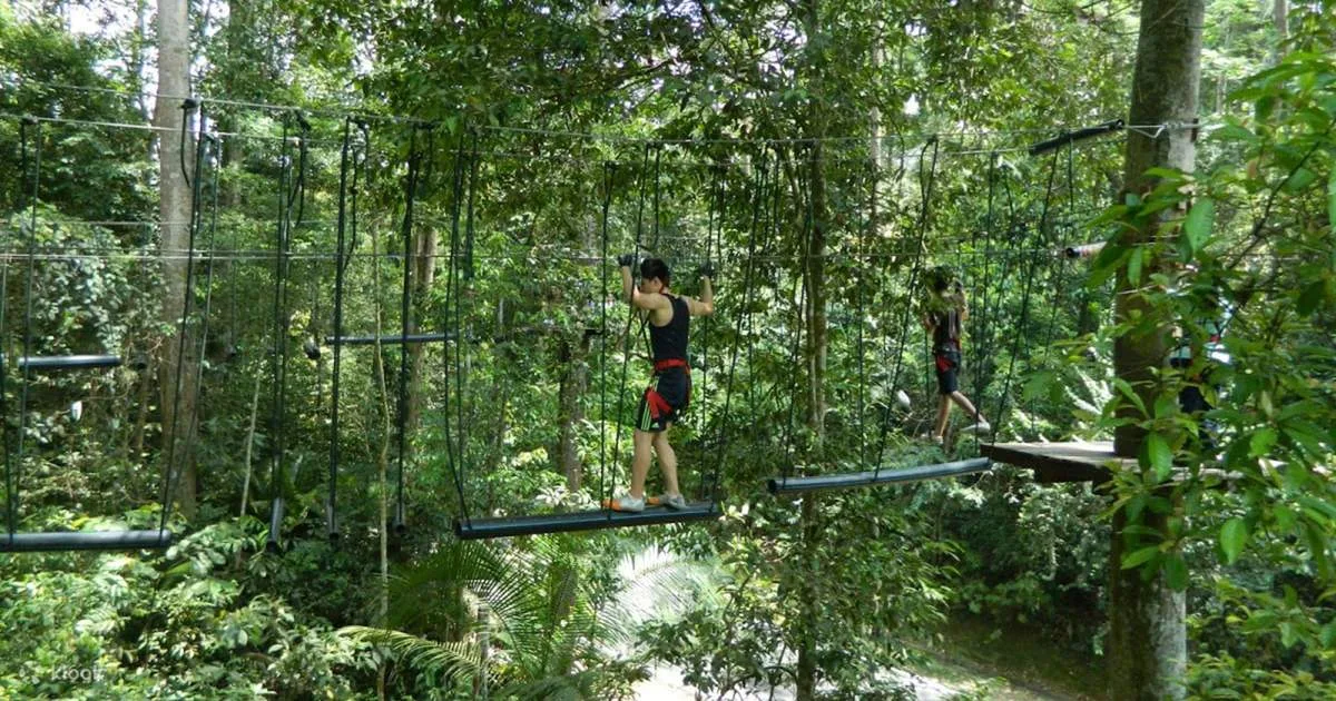 SKYTREX Adventure Langkawi
