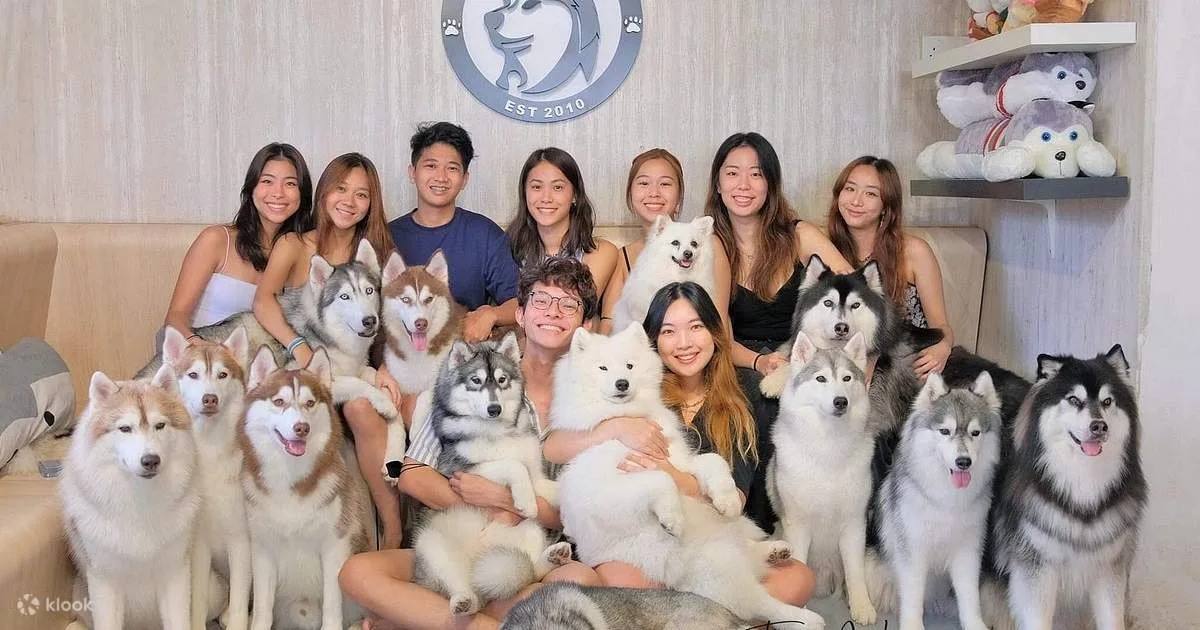 Siberian Husky and Shiba Inu Experience Centre in Melaka