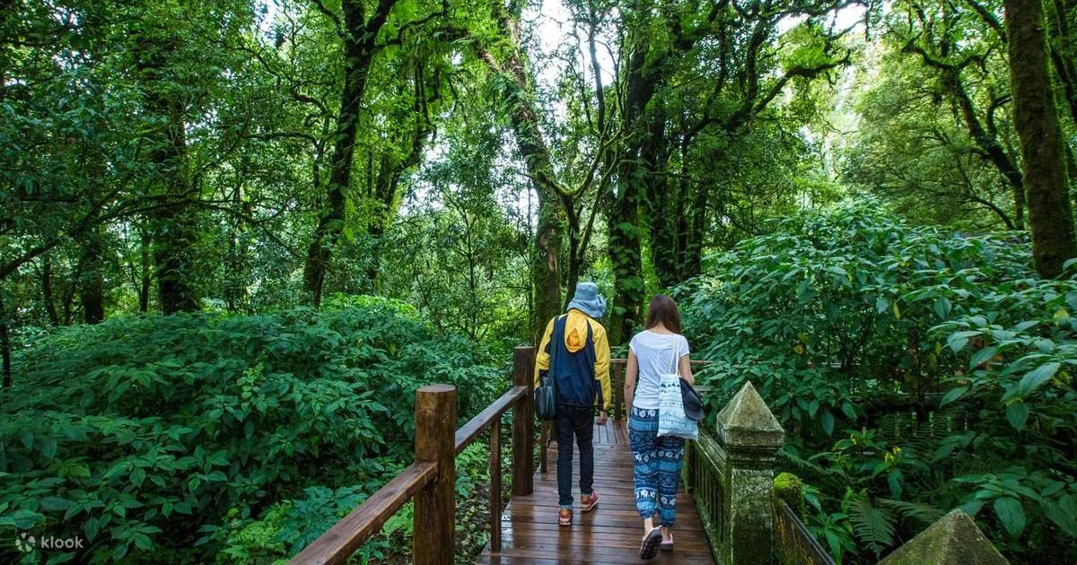 Doi Inthanon National Park Day Tour in Chiang Mai