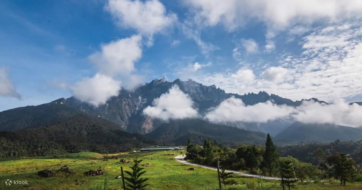 Kota Kinabalu Desa Cattle Farm Full-Day Small Group Tour