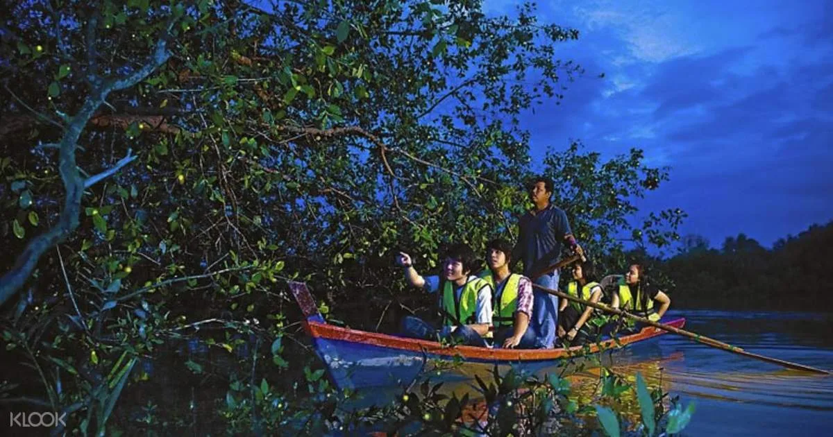 Kuala Selangor Fireflies & Blue Tears Night Tour