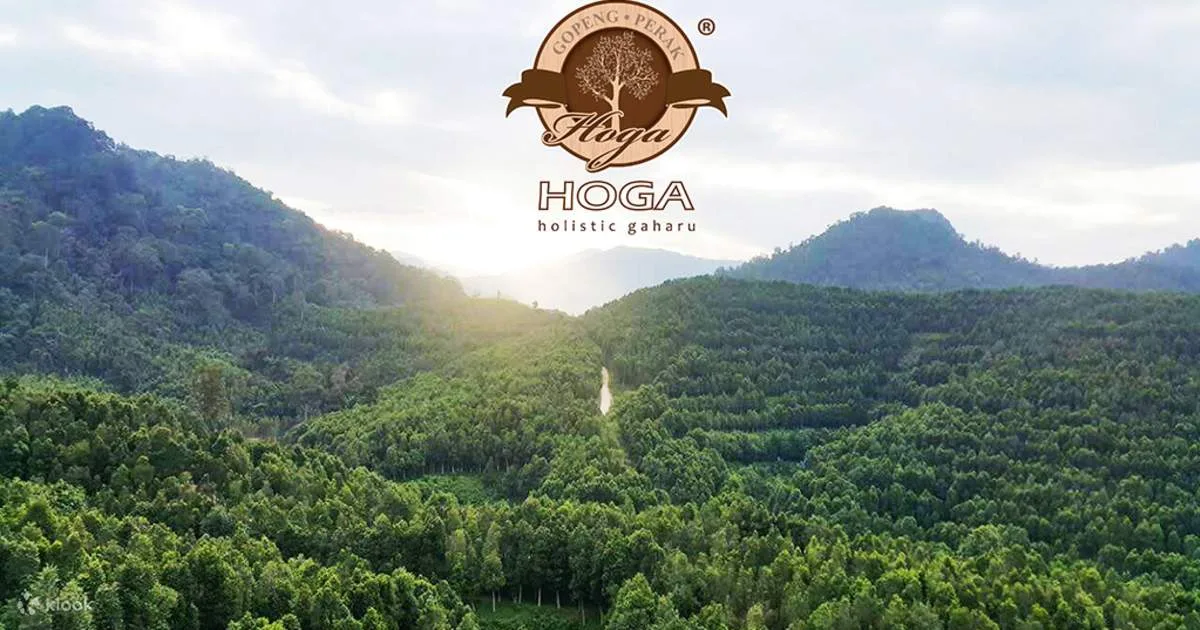 HOGA Gaharu Tea Branch Full-Day Guided Interactive Experience