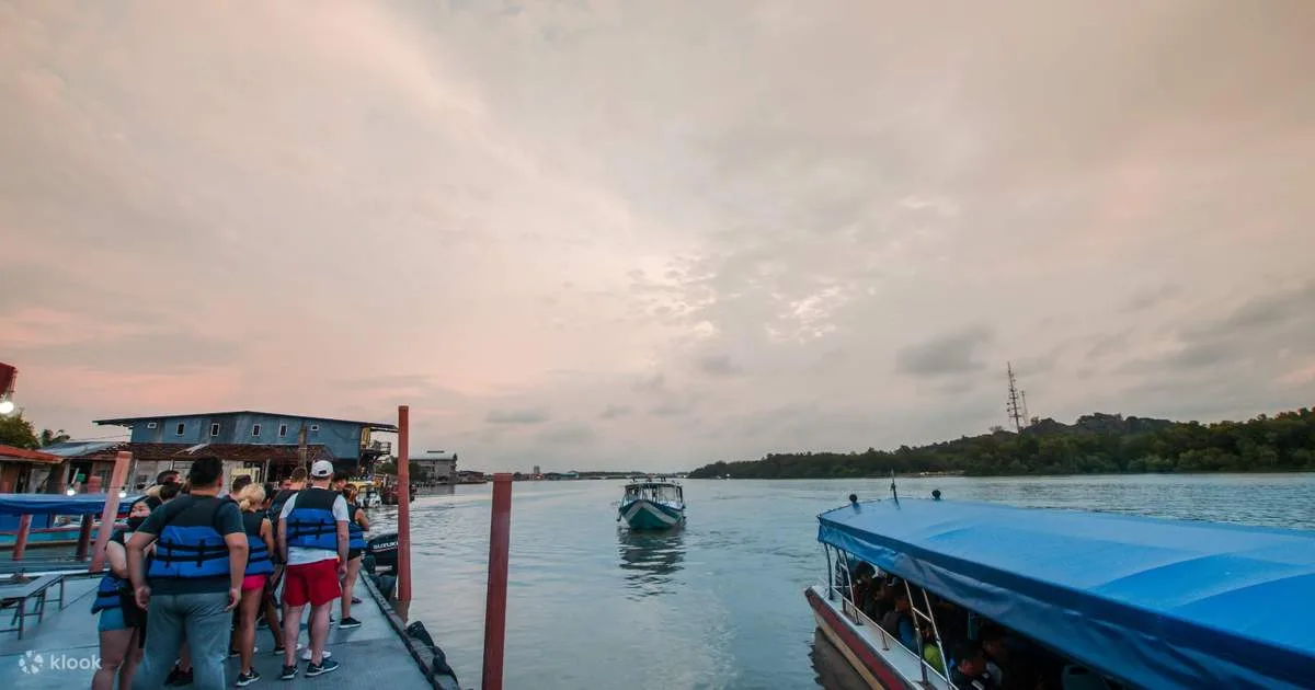 Fireflies Tour: Blue Luminescent & Seafood Dinner in Kuala Selangor