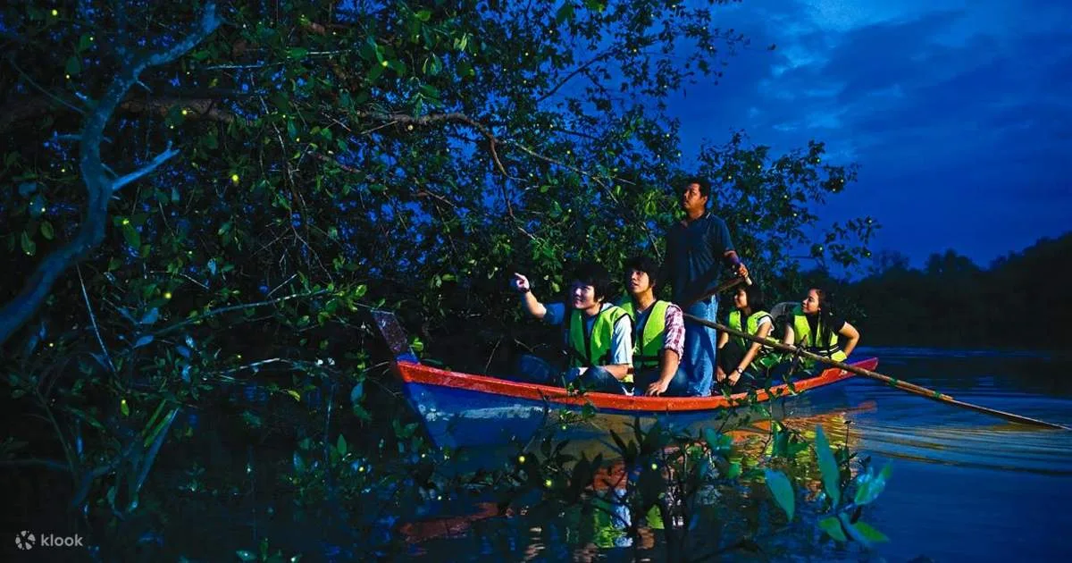 Fireflies Boat Cruise Experience in Kuala Selangor