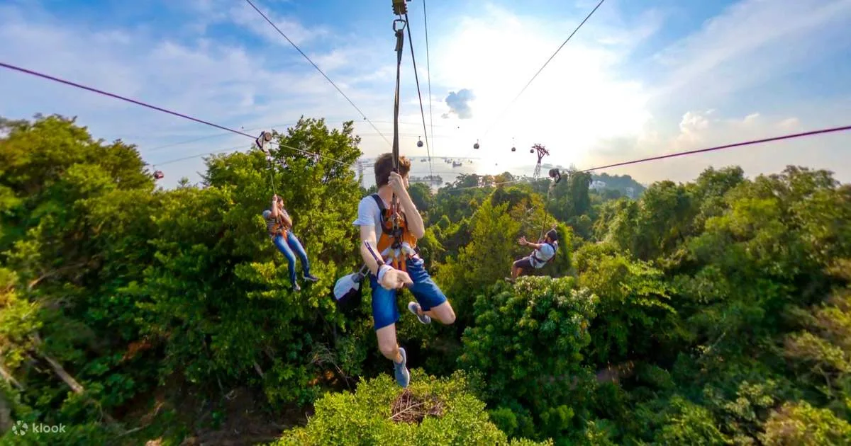 MegaZip at Mega Adventure Park Singapore