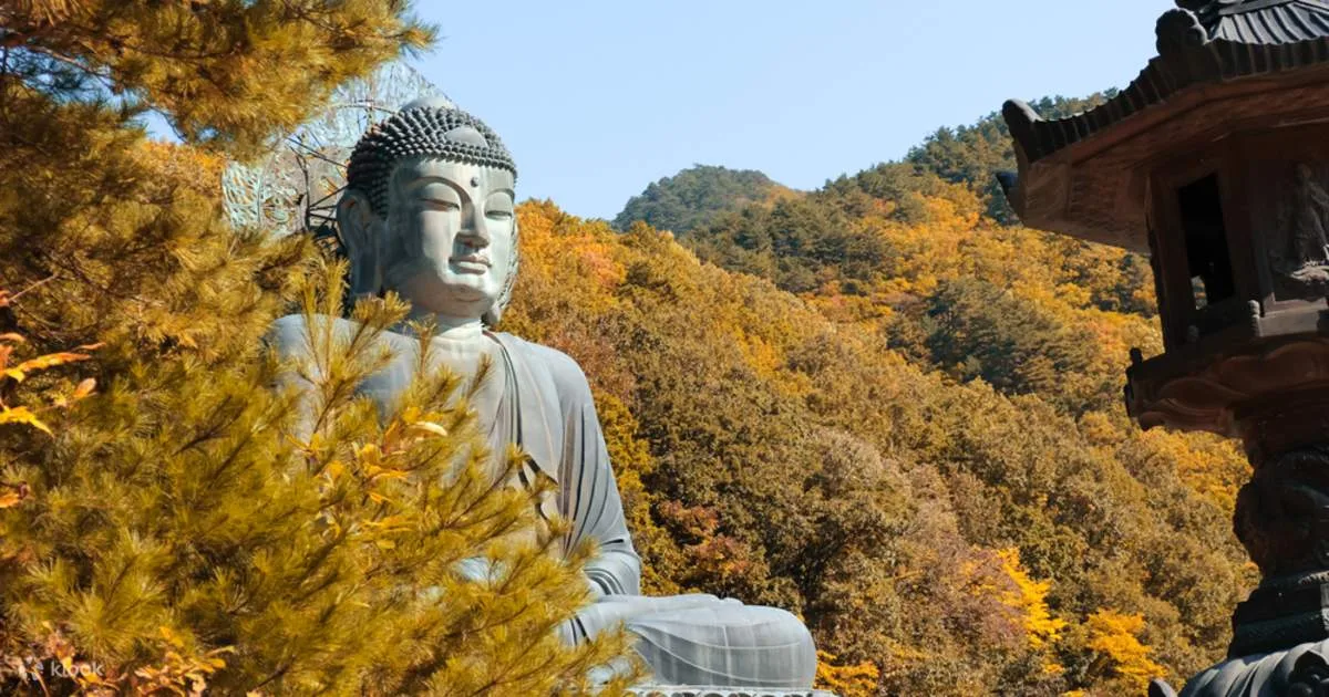 Seoraksan National Park & Nami Island Full-Day Tour