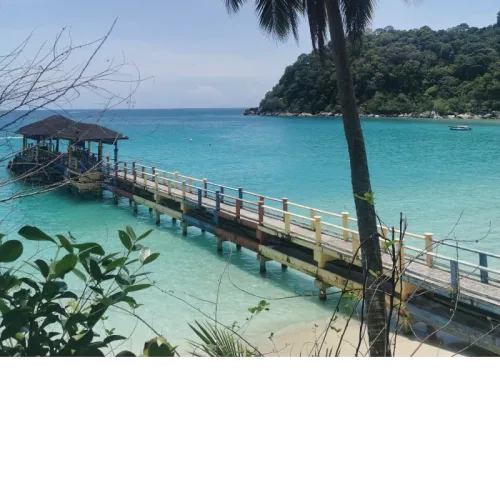 Plongée et snorkeling à Perhentian et Tioman : le guide complet