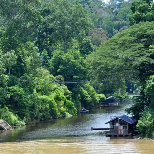 Taman Negara