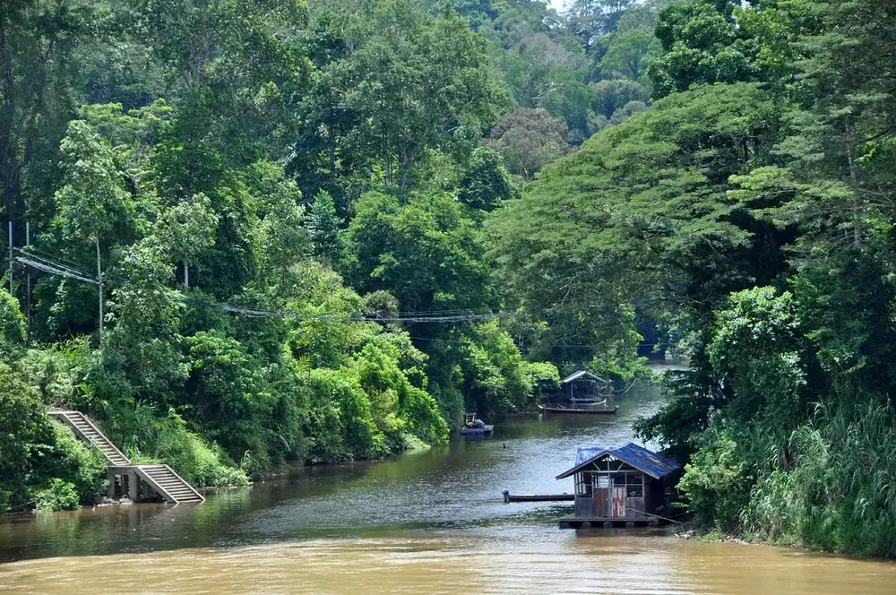 Bach Ma National Park Trekking Day Tour From Hue