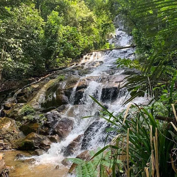 Taman Eko Rimba Kanching