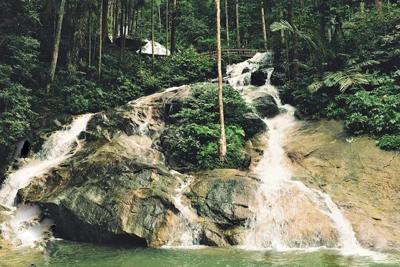 Taman Rimba Templer